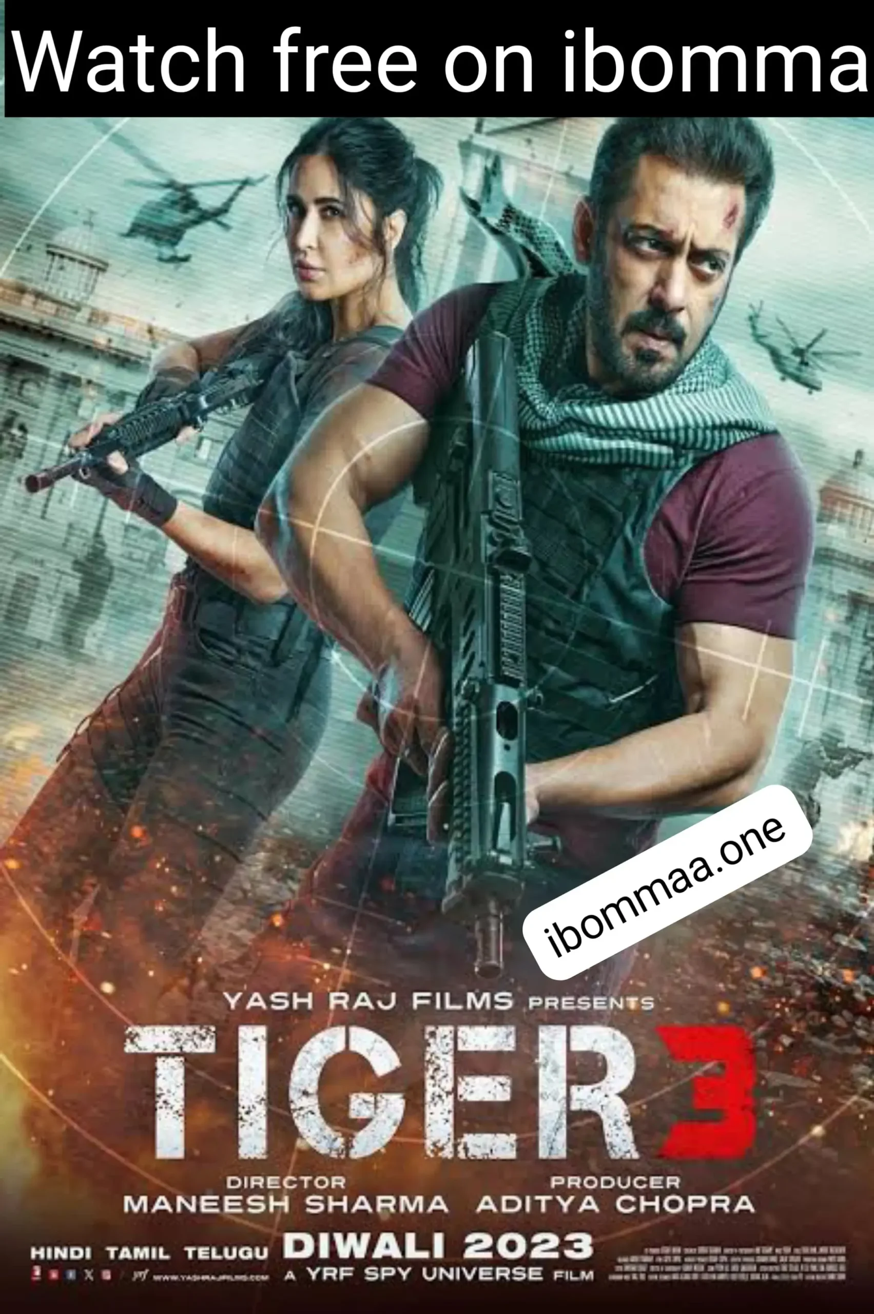 Tiger 3 1 Tiger 3